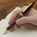 Platinum Fountain Pen -