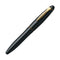 Platinum Fountain Pen - Izumo (18K Nib) - Biwatame | EndlessPens Online Pen Store