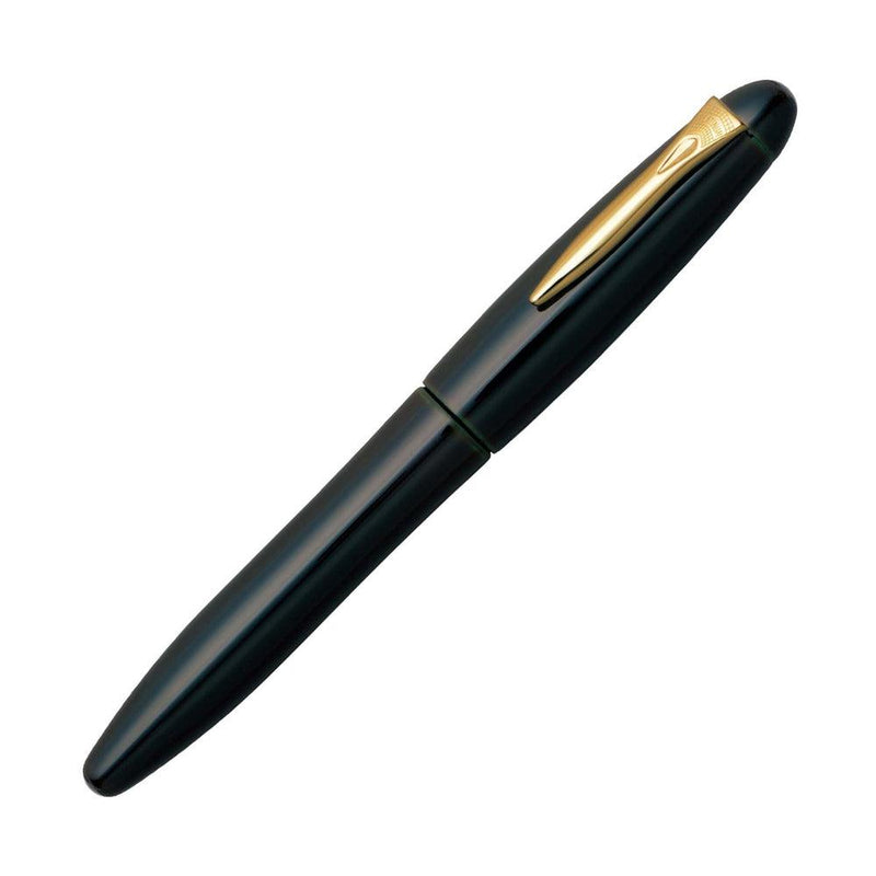 Platinum Fountain Pen - Izumo (18K Nib) - Soratame | EndlessPens Online Pen Store