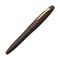 Platinum Fountain Pen - Izumo (18K Nib) - Tagayasan Matte | EndlessPens Online Pen Store