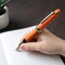 Sailor Fountain Pen - Hard Maple - Limited Edition (2025)