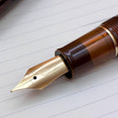 Sailor Pro Gear Iriomote Cat Fountain Pen - Limited Edition (2026) - Pen with Nib Exposed and Paper | EndlessPens