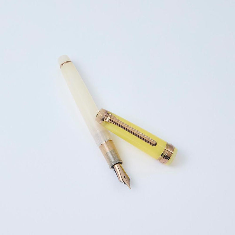 Sailor Fountain Pen - Pro Gear Slim - Dried Flower 2 - Special Edition (2025)