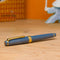 Sailor Fountain Pen - Pro Gear Slim - Seasonal Festivals