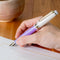 Sailor Fountain Pen - Pro Gear Slim - Tea Time #5 - Japanese Tea Ceremony - Nerikiri - Limited Edition (2025)