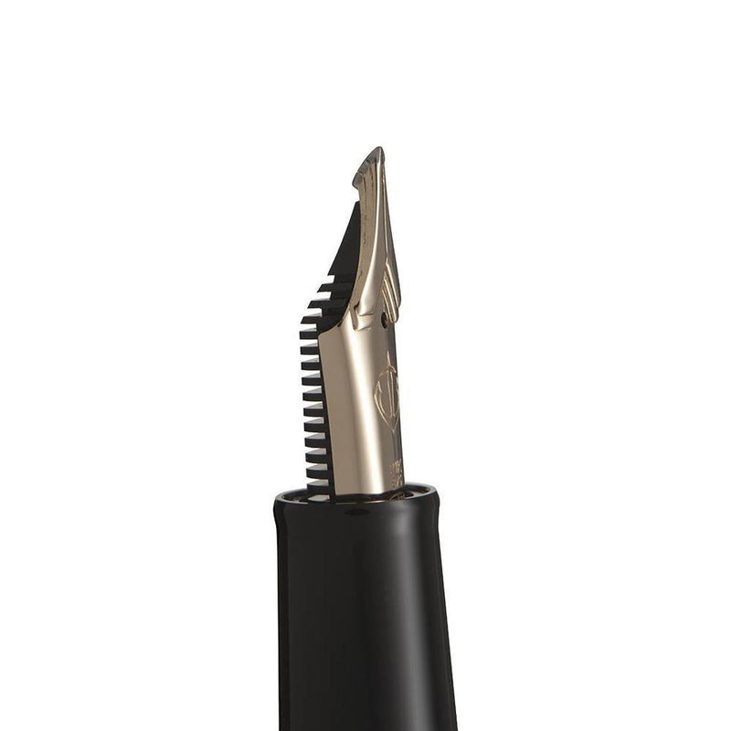 Sailor Fountain Pen - Specialty Nib - Naginata King Eagle