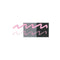 Sailor Ink Bottle (15ml) - Dipton Creamy Ink