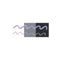 Sailor Ink Bottle (15ml) - Dipton Creamy Ink