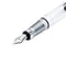 TWSBI Fountain Pen - Diamond 580ALR Nickel Gray