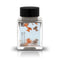 Tono & Lims Ink Bottle (30ml) - 2025 Summer - Puddle Story Line