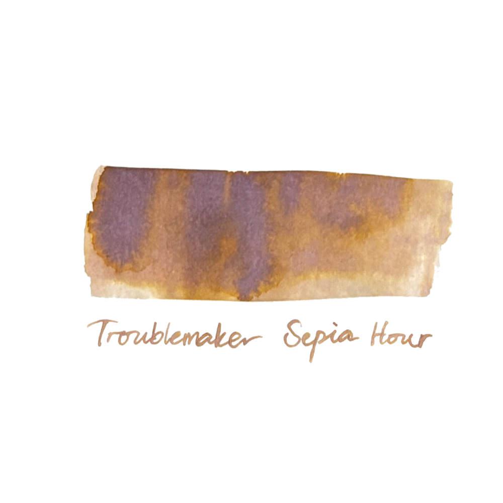 Troublemaker Ink Bottle (60 ml) - Shading Inks | EndlessPens