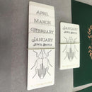 Van Dieman's Ink - 2025 Boxed Collection - Special Edition (2025)