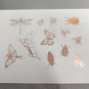 Van Dieman's Ink - 2025 Boxed Collection - Special Edition (2025)