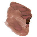 Van Dieman's Ink Bottle (30ml) - Feline