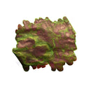 Van Dieman's Ink Bottle (30ml) - Night