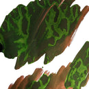 Van Dieman's Ink Bottle (30ml) -  Voyagers - EndlessPens