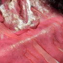 Van Dieman's Ink Bottle (40ml) - Encore