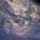 Van Dieman's Ink Bottle (40ml) - Encore