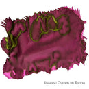 Van Dieman's Ink Bottle (40ml) - Encore