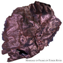 Van Dieman's Ink Bottle (40ml) - Encore