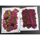 Van Dieman's Ink Bottle (40ml) - Encore