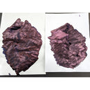 Van Dieman's Ink Bottle (40ml) - Encore