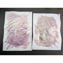 Van Dieman's Ink Bottle (40ml) - Encore