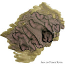 Van Dieman's Ink Bottle (40ml) - Encore