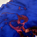 Van Dieman's Ink Bottle (40ml) - Encore