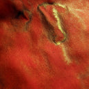 Van Dieman's Ink Bottle (40ml) - Encore