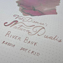 Van Dieman's Ink Bottle (40ml) - Natura Dualis