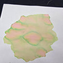 Van Dieman's Ink Bottle (40ml) - Natura Dualis