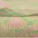 Van Dieman's Ink Bottle (40ml) - Natura Dualis