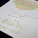 Van Dieman's Professional - Natura Dualis HarvestTide Dual Tone Fountain Pen Ink - EndlessPens