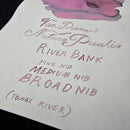 Van Dieman's Professional - Natura Dualis Riverbank Dual Tone Fountain Pen Ink - EndlessPens