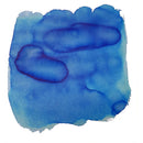 Van Dieman's Tassie Seasons (Spring) Native Cornflower - Fountain Pen Ink - EndlessPens