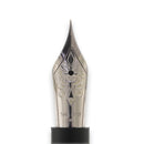 Visconti Homo Sapiens Dark Age Fountain Pen (14K Gold) - Pen Nib | EndlessPens