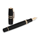 Visconti Fountain Pen - Homo Sapiens - Bronze Age