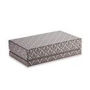 Visconti Fountain Pen - Homo Sapiens - Full Demo - Limited Edition (2025)