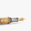 Visconti Fountain Pen - Maze - Limited Edition (2025)