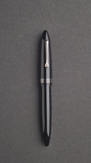 Leonardo Fountain Pen - Furore Redesigned - Notte di Furore (14K Gold)
